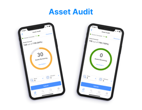 Asset Audit Feature